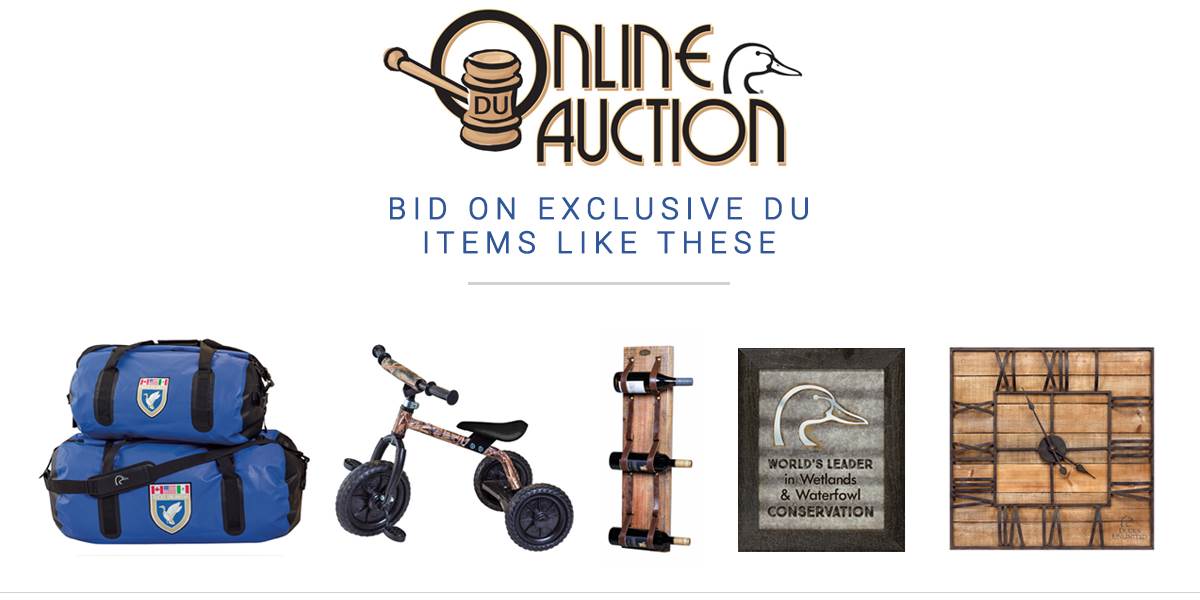 Online Auction Banner