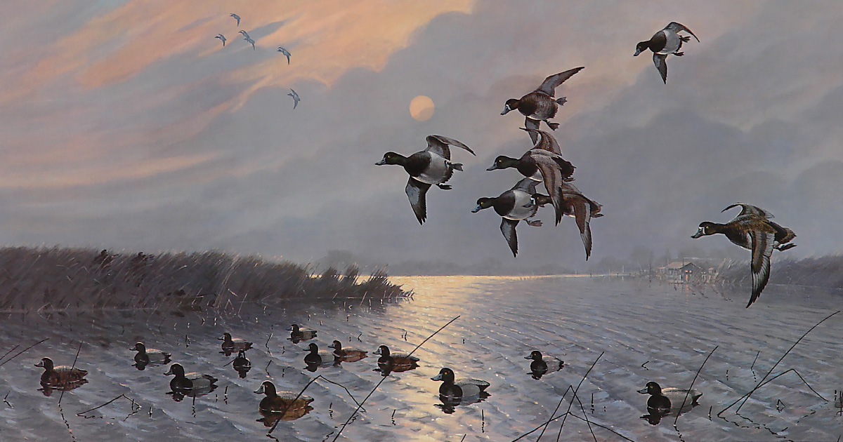 Image for Make Ours Bluebills