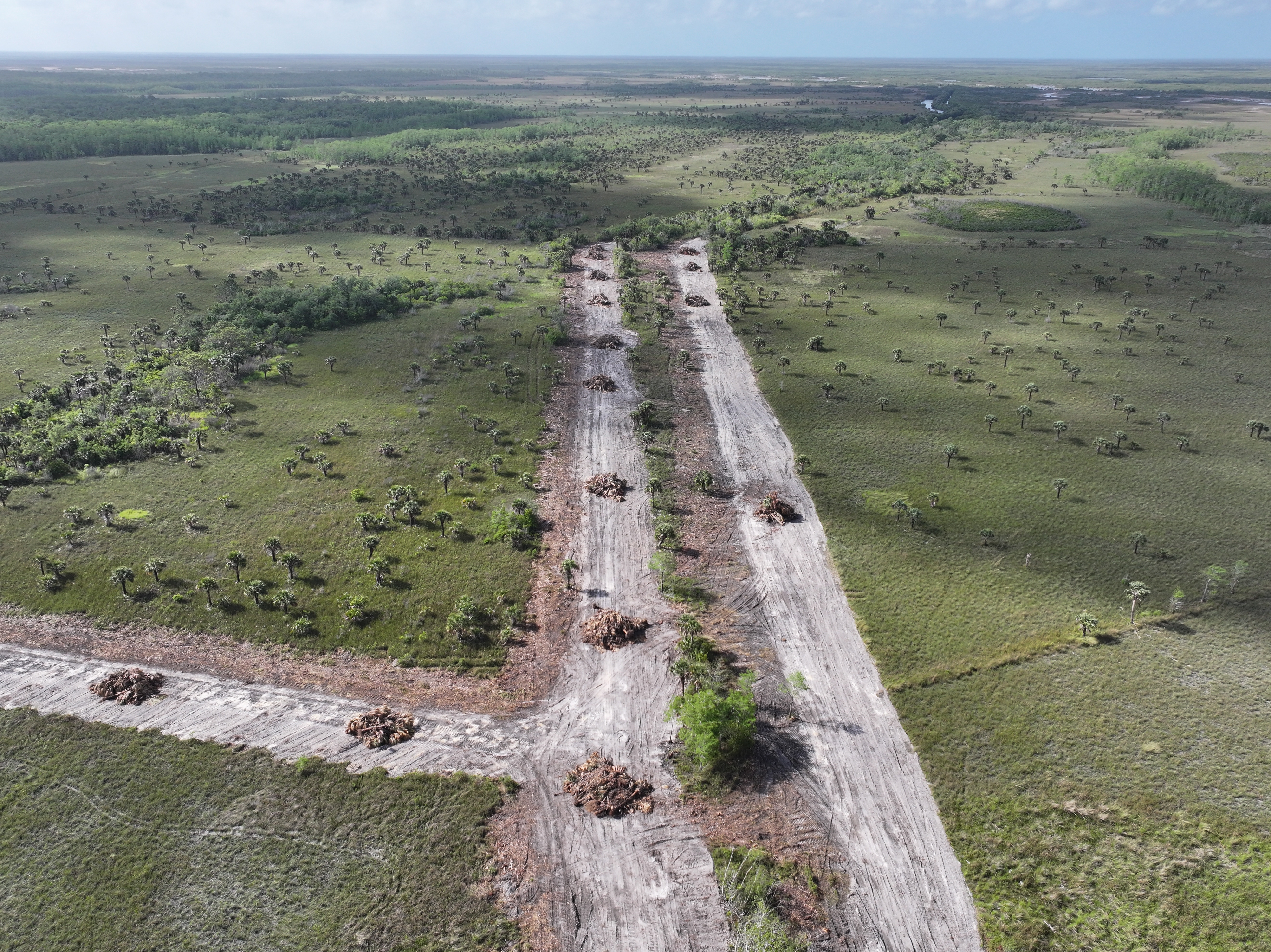 $25,000 Grant Powers Next Phase of Historic Wetland Restoration in Florida's Crown Jewel State Park
