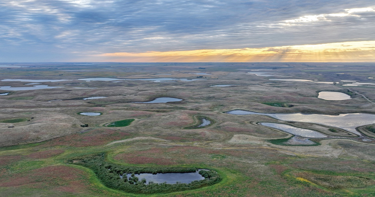 The Prairie Pothole Region. Photo by Ducks Unlimited.jpg