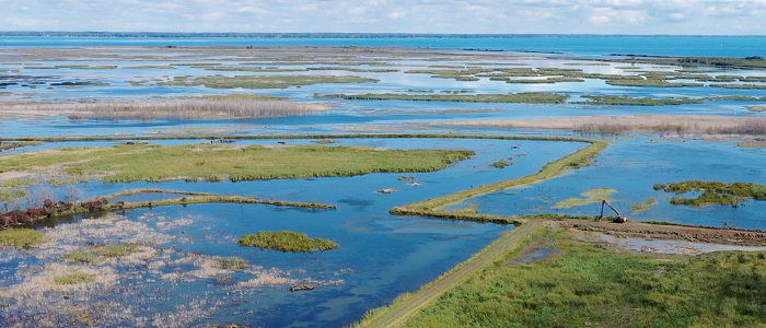 Habitat Improvement 700.jpg