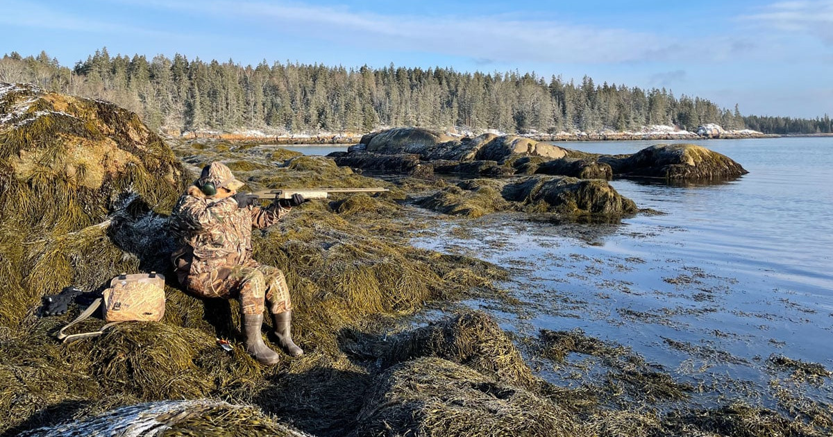 Image for Great Duck Hunting Shotguns for Any Budget and Shooting Style