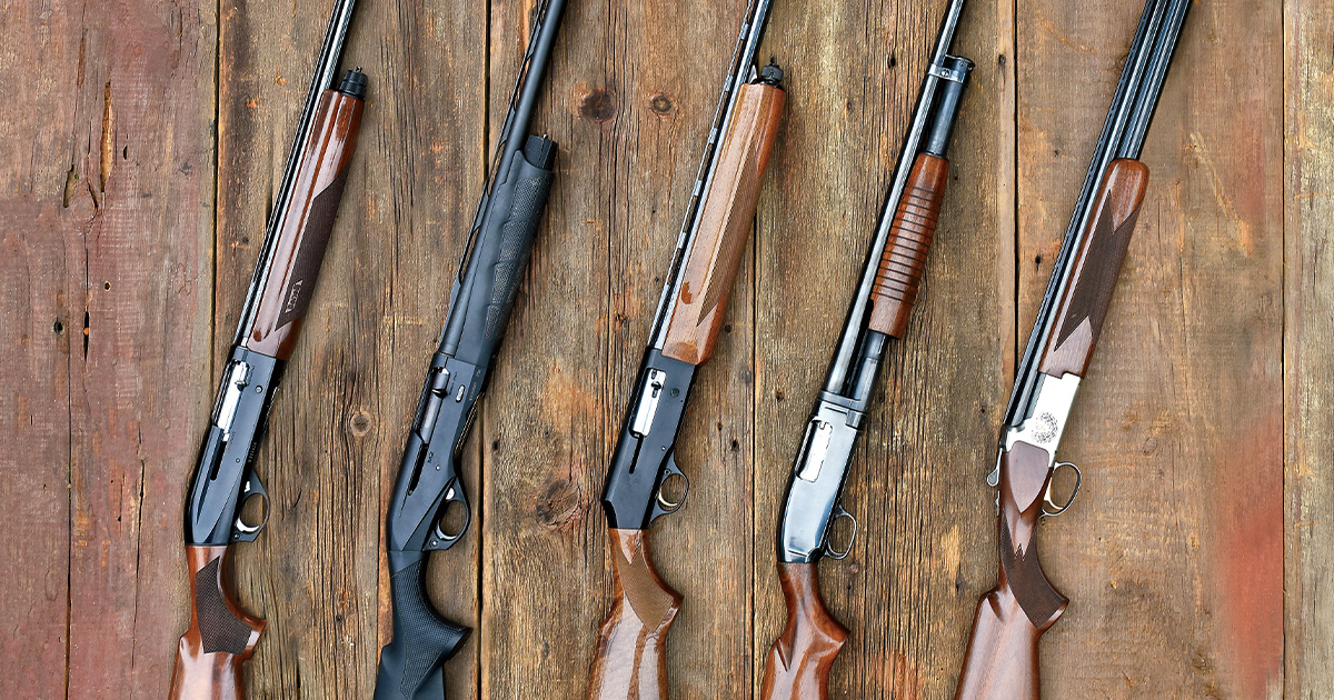 Image for Shotgunning: My Duck Guns