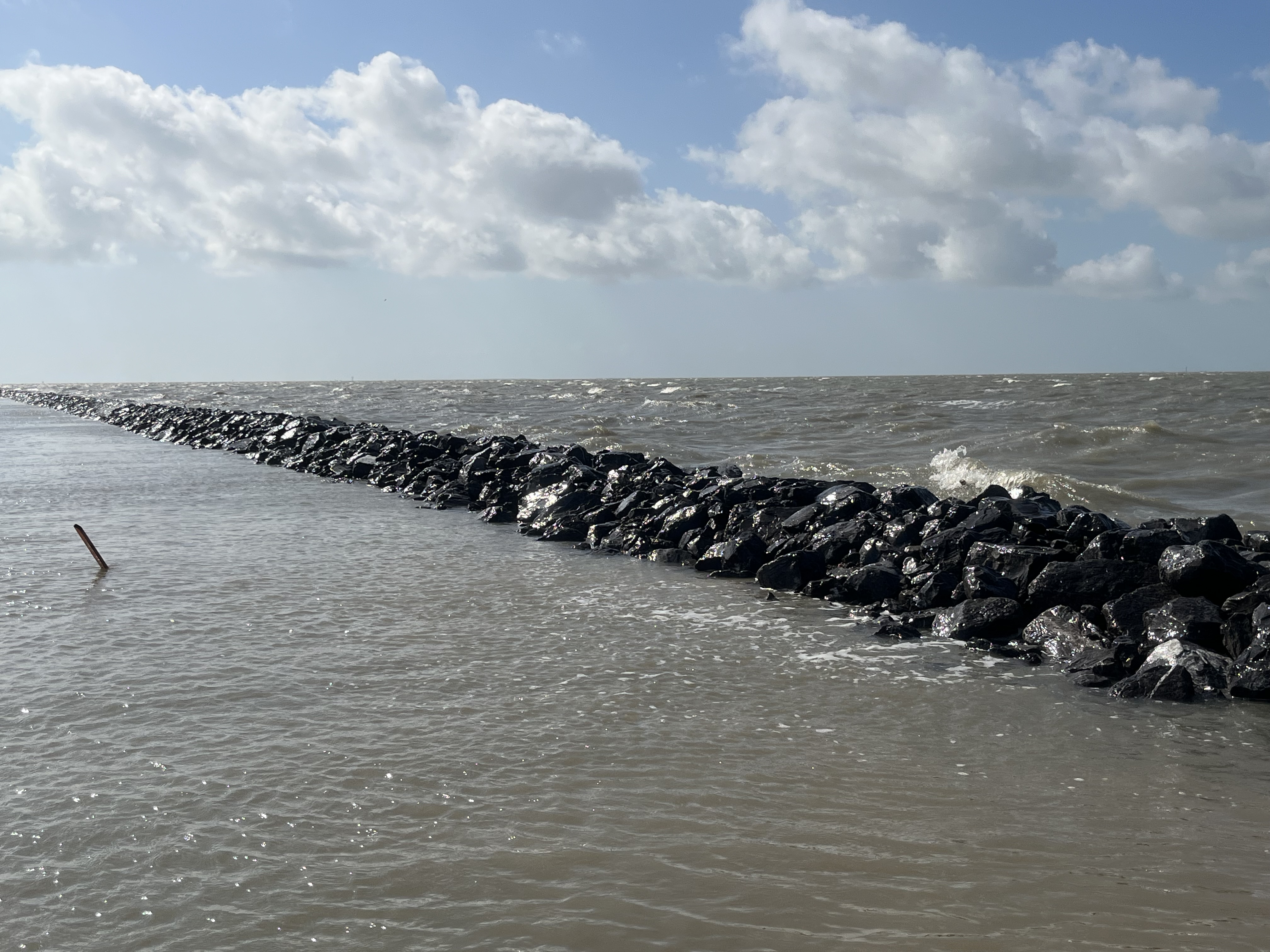 Image for Migratory Bird Conservation Commission Approves $2.28 Million Grant to Protect and Restore Texas Gulf Coast Wetlands