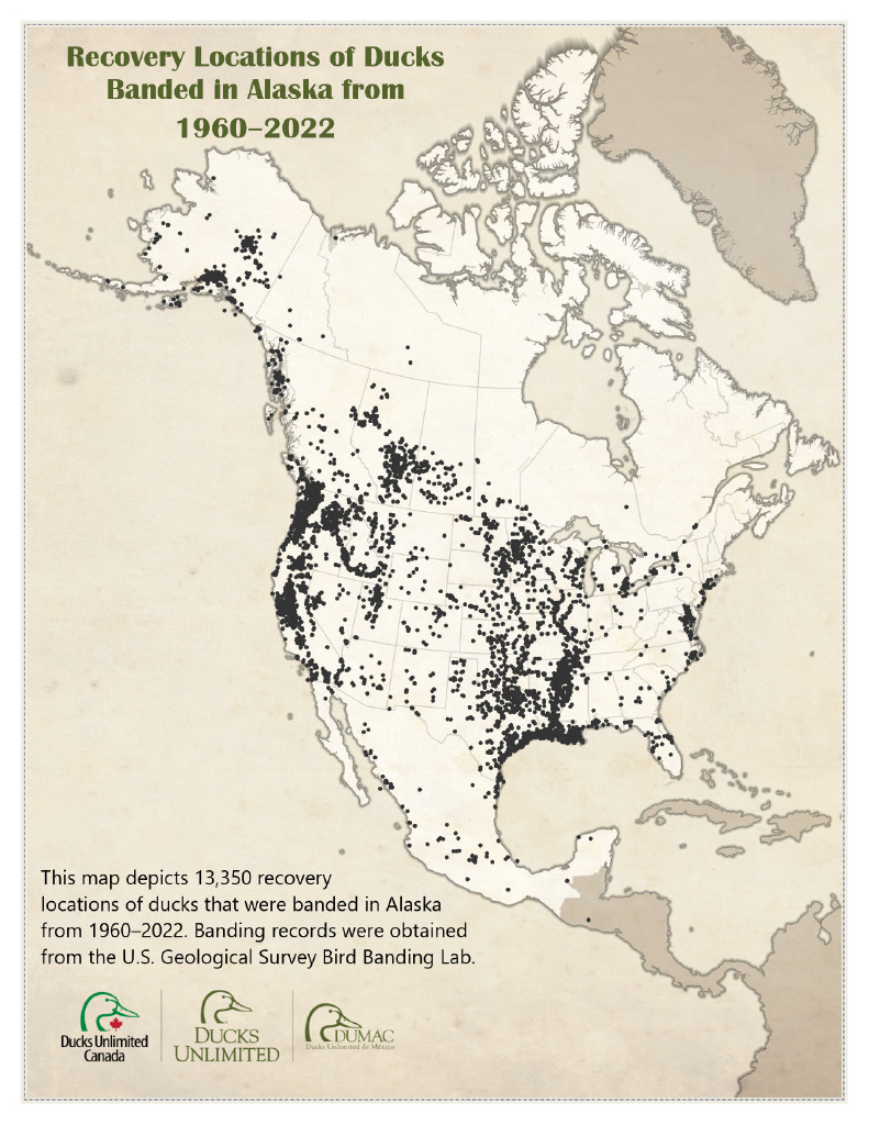 Ducks Unlimited Deepens Conservation Investment in Alaska 