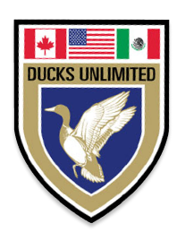 Ducks Unlimited Large Badge