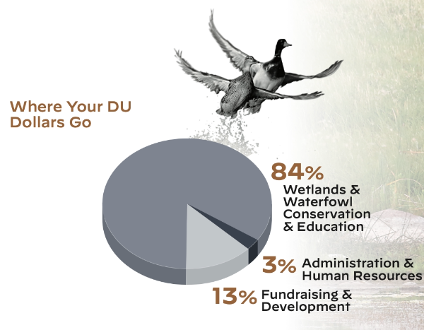 Where You DU Dollar Goes.png